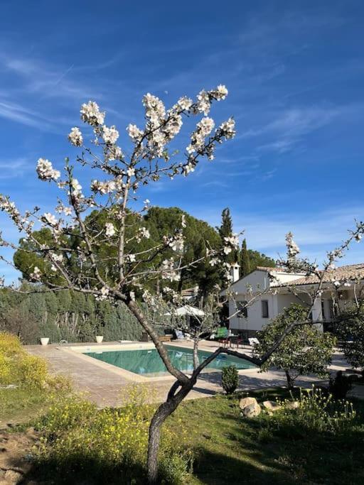 הוילה Argés Casa Galiana. מראה חיצוני תמונה